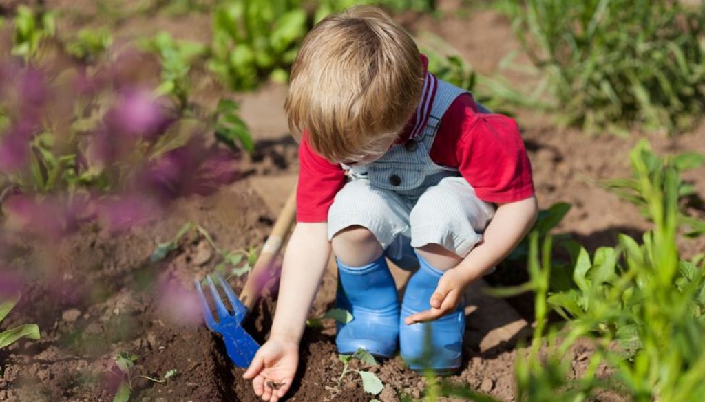 Planting The Right Seed