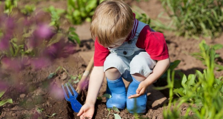 Planting The Right Seed